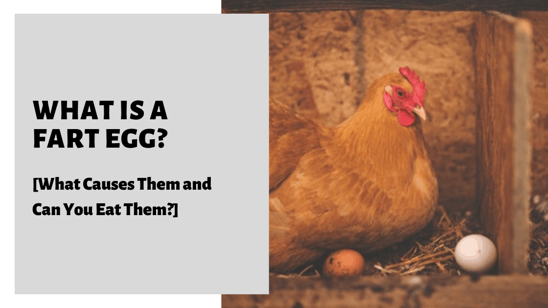 What Is A Fart Egg? [What Causes Them and Can You Eat Them?]