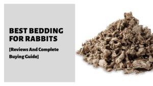 Best Bedding For Rabbits [Reviews And Complete Buying Guide]