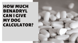How Much Benadryl Can I Give My Dog Calculator? » Pet Educate