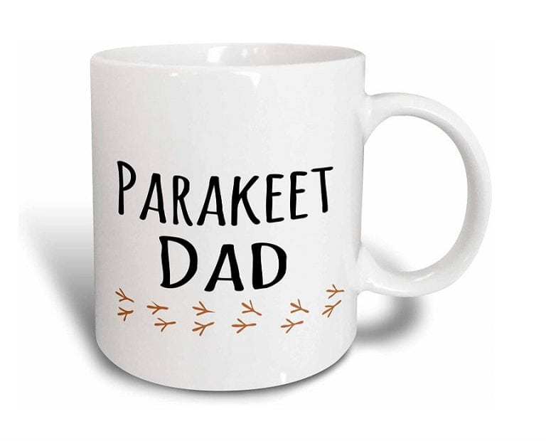 11 Great Gifts For Parakeet Lovers » Pet Educate