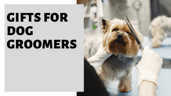 Dog Pet Groomer Card Gifts For Women Thank You Appreciation Card For
