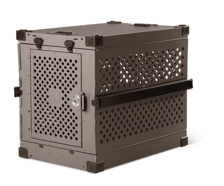 Best Dog Crate For Boston Terrier [The One To Get & Why] » Pet Educate