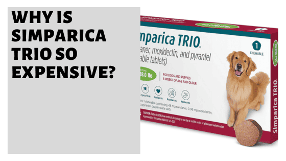  Why Is Simparica Trio So Expensive How To Get It Cheaper Pet Educate