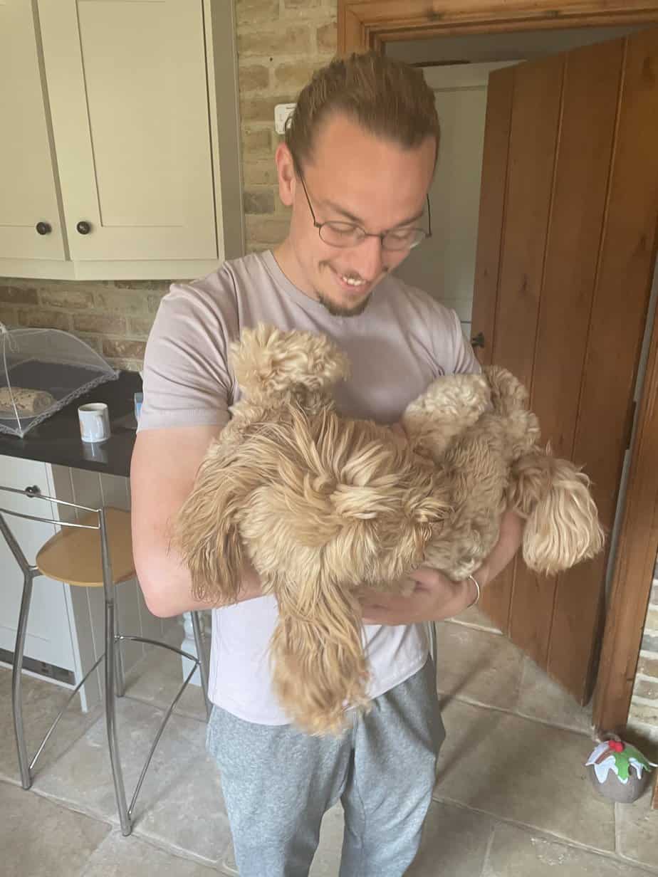 How To Heat An Outdoor Rabbit Hutch [The Best Method Guide]